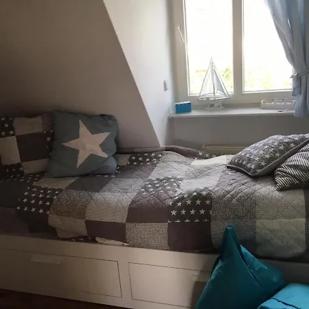 Haus-seepferdchen