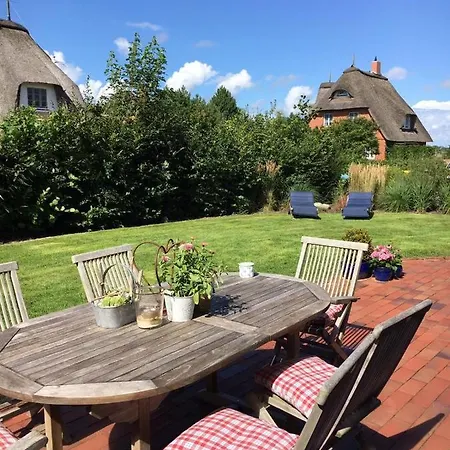 Haus-seepferdchen *
